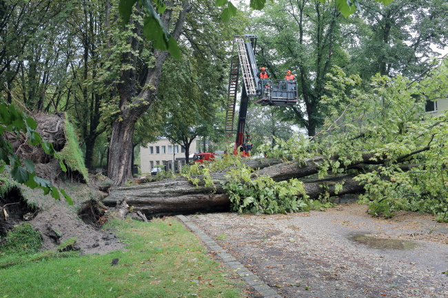 Ralf Roeger - Sturmschaden
